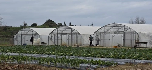 Sistem za nadzor i upravljanje - 2